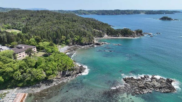【岩手県内発】 気仙沼大島「亀山テラス360°-Kesennuma Oshima-」と世界の椿館・碁石 2日間1